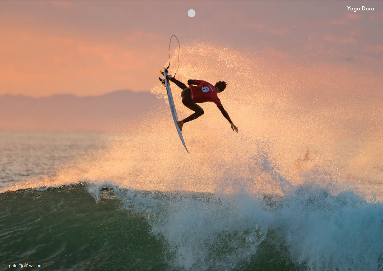 F+xBCMコラボカレンダー解説:2月はヤゴ・ドラ